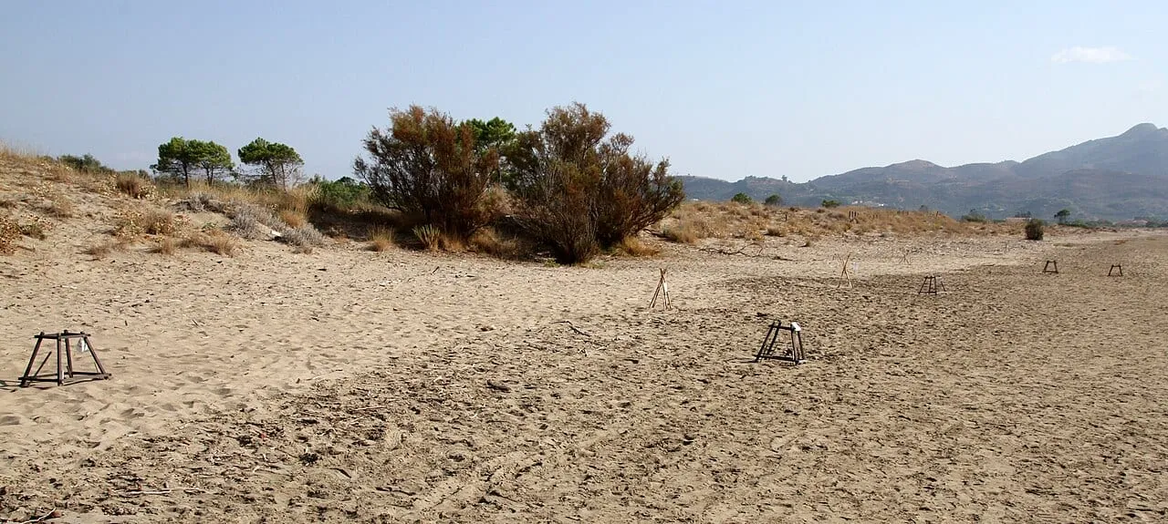 Piaszczysta plaża z drewnianymi osłonami chroniącymi gniazda żółwi