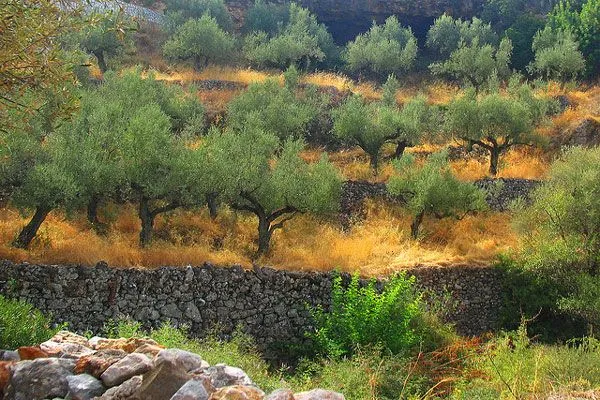 Grecja 