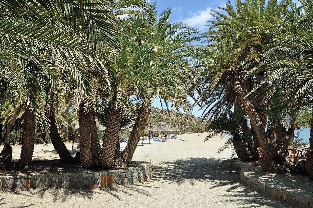 Palmowa plaża Vai we wschodniej części Krety