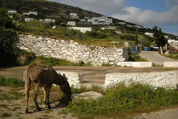 Grecja | Spokojne, klimatyczne wzgórza Amorgos